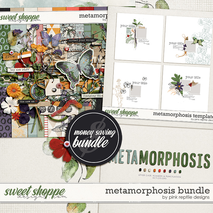 Metamorphosis Bundle by Pink Reptile Designs