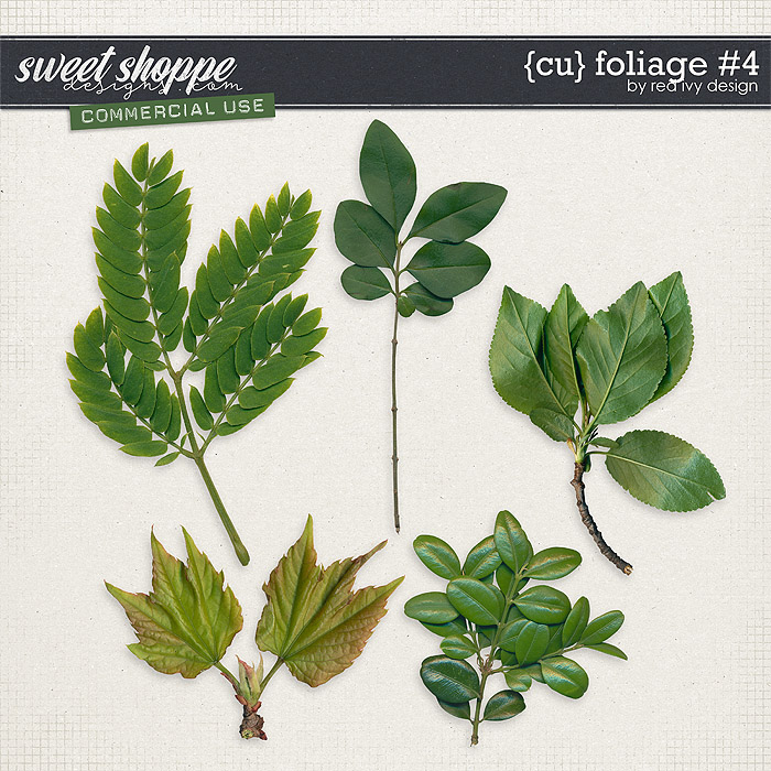 CU Foliage #4 by Red Ivy Design