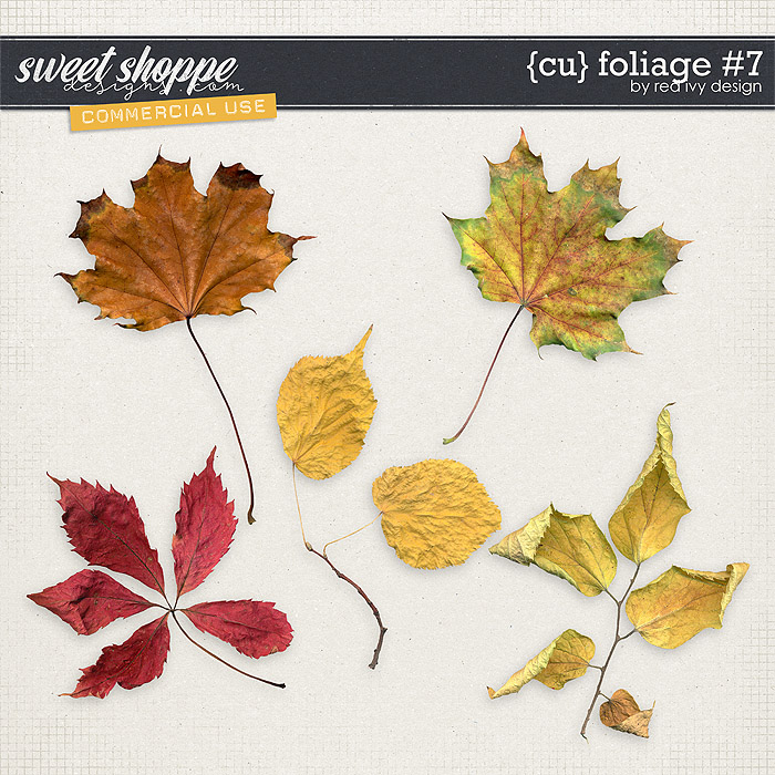 CU Foliage #7 by Red Ivy Design