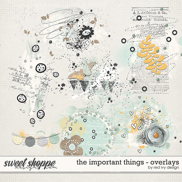 The Important Things - Overlays The Important Things - Overlays