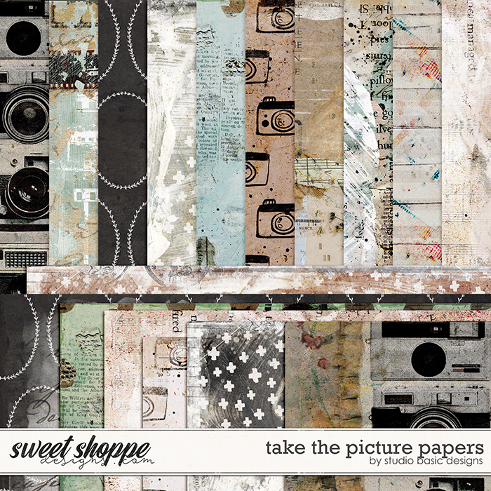 Take The Picture Papers by Studio Basic
