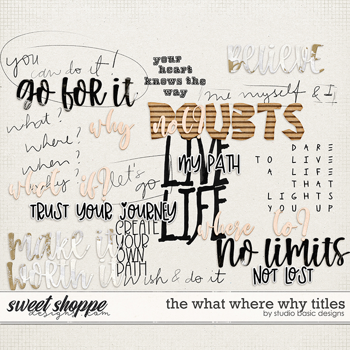 The What Where Why Titles by Studio Basic The What Where Why Titles by Studio Basic
