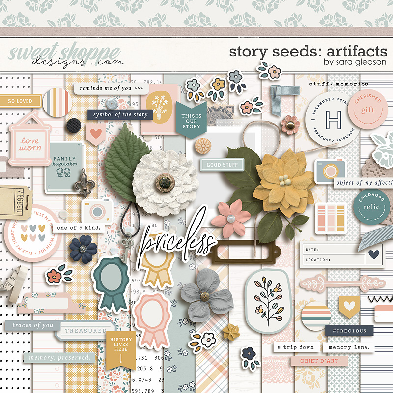 Story Seeds: Artifacts by Sara Gleason