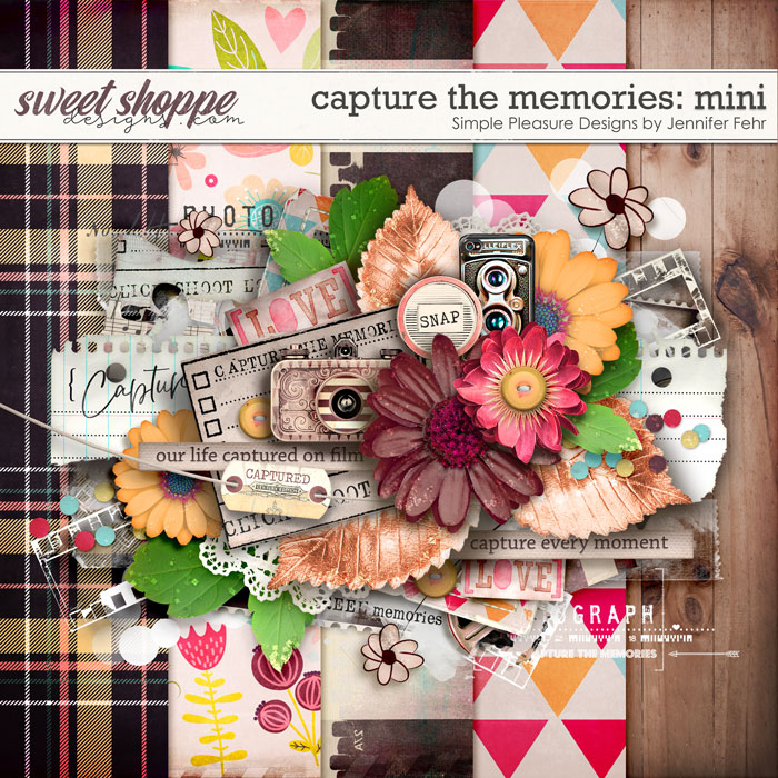capture the memories mini: simple pleasure designs by jennifer fehr