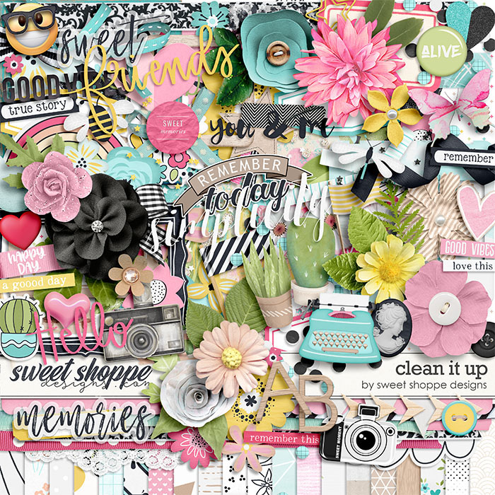  *FLASHBACK FINALE* Clean It Up! by Sweet Shoppe Designs