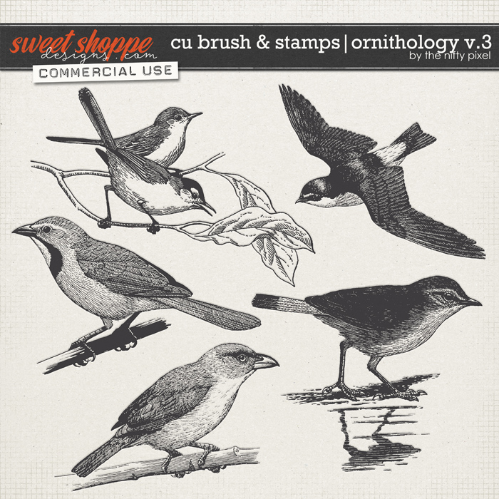 CU BRUSH & STAMPS | ORNITHOLOGY V.3 by The Nifty Pixel