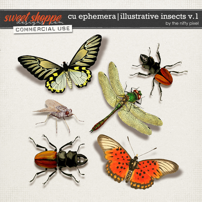 CU EPHEMERA | INSECTS V.1 by The Nifty Pixel