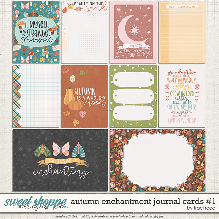 Autumn Enchantment Cards #1 by Traci Reed