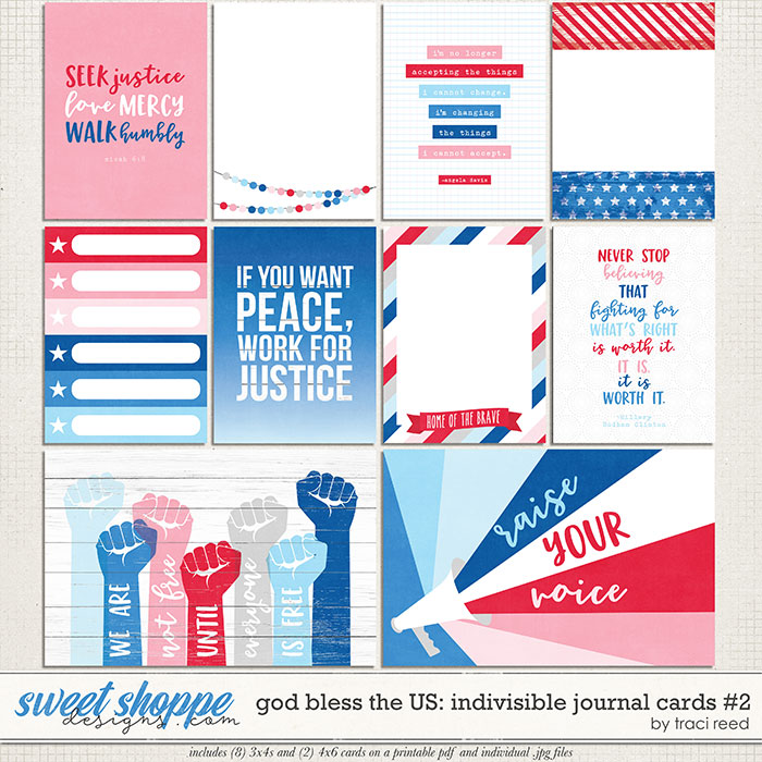 God Bless The US: Indivisible Journal Cards #2 by Traci Reed