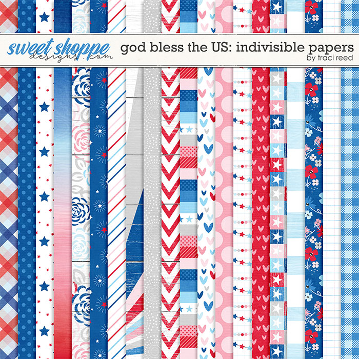 God Bless The US: Indivisible Papers by Traci Reed