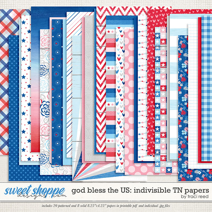 God Bless The US: Indivisible TN Papers by Traci Reed