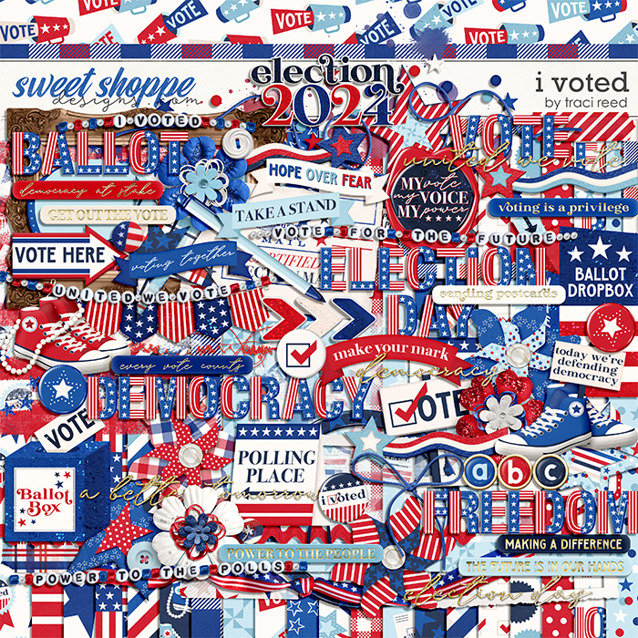 I Voted by Traci Reed