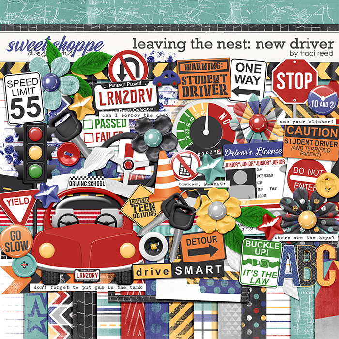 Leaving The Nest: New Driver by Traci Reed