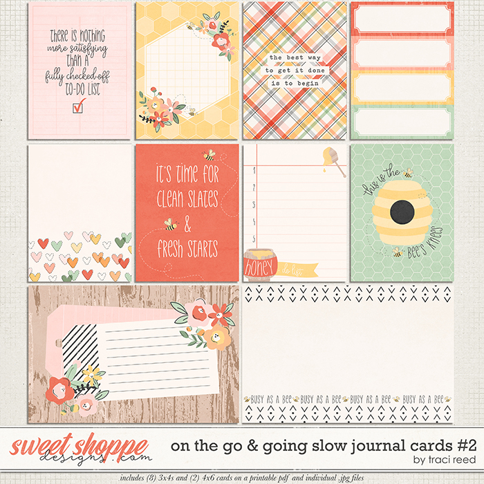 On The Go & Going Slow Cards #2 by Traci Reed