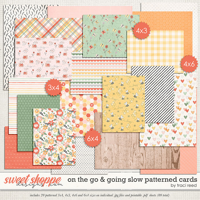 On The Go & Going Slow Patterned Cards by Traci Reed