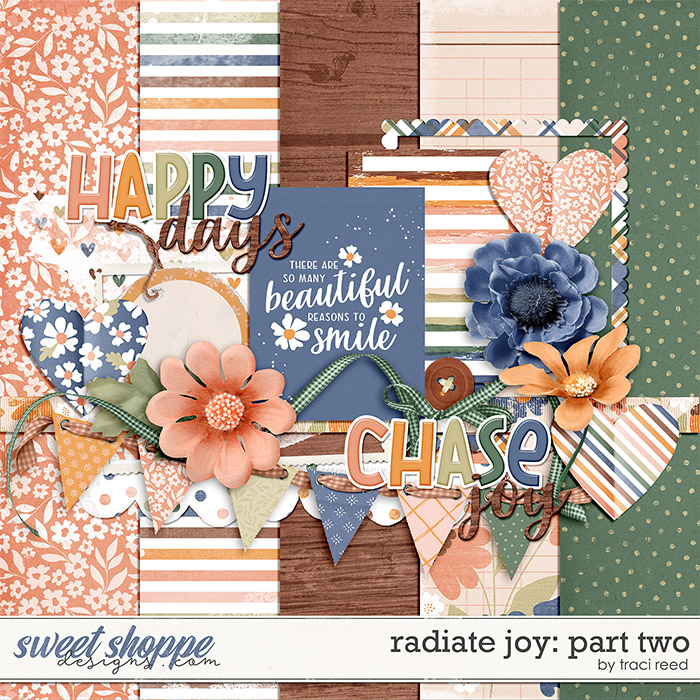 Radiate Joy Part Two by Traci Reed