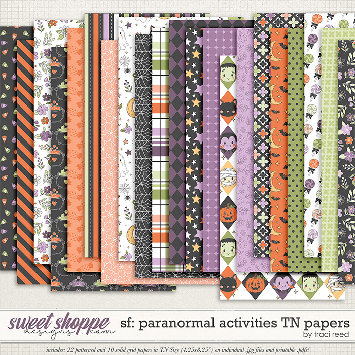 Story Foundations: Paranormal Activities TN Papers by Traci Reed