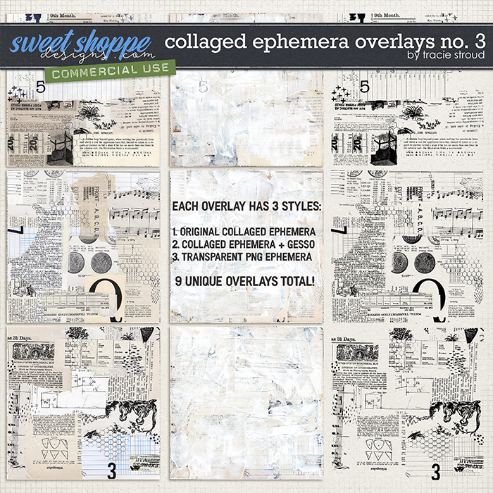 CU Collaged Ephemera Overlays no. 3 by Tracie Stroud