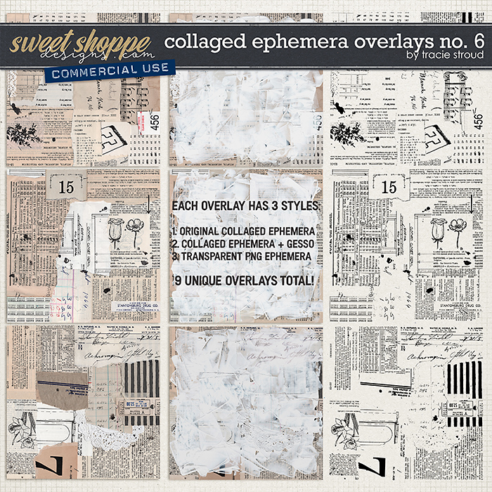 CU Collaged Ephemera Overlays no. 6 by Tracie Stroud