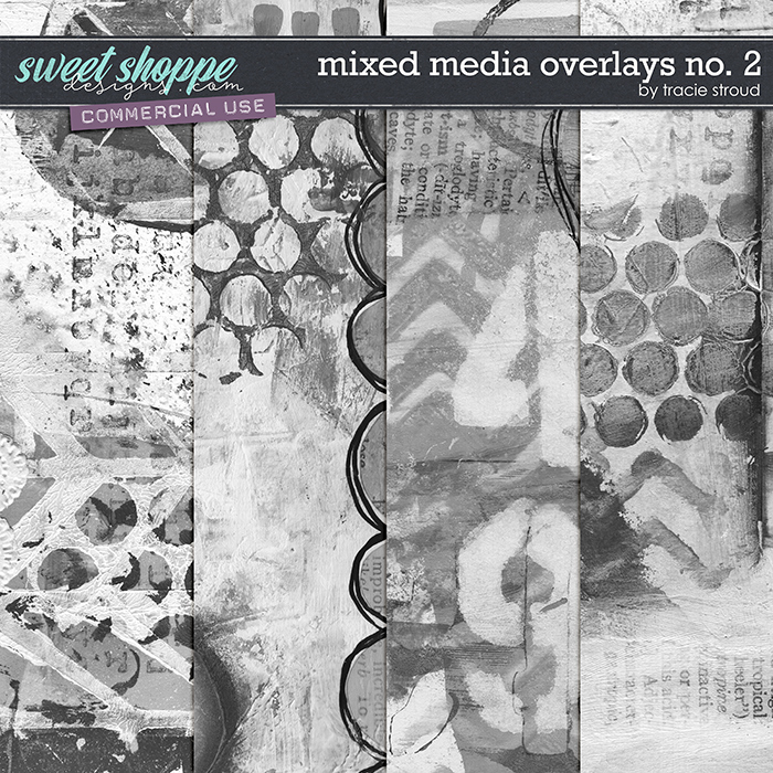CU Mixed Media Overlays no. 2 by Tracie Stroud
