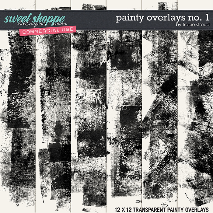 CU Painty Overlays no. 1 by Tracie Stroud
