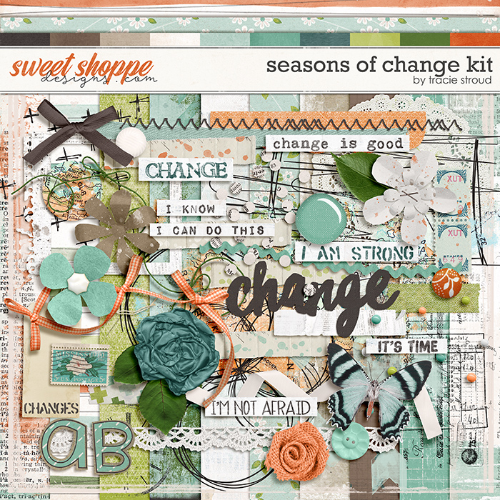 Seasons of Change by Tracie Stroud