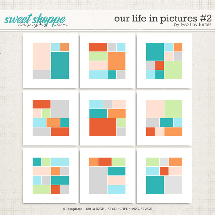 Our Life In Pictures #2 by Two Tiny Turtles Our Life In Pictures #2 by Two Tiny Turtles