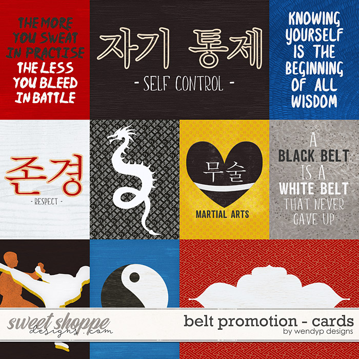 Belt promotion - cards by WendyP Designs Belt promotion - cards by WendyP Designs