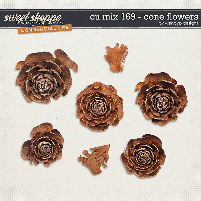 CU Mix 169 - Cone flowers by WendyP Designs