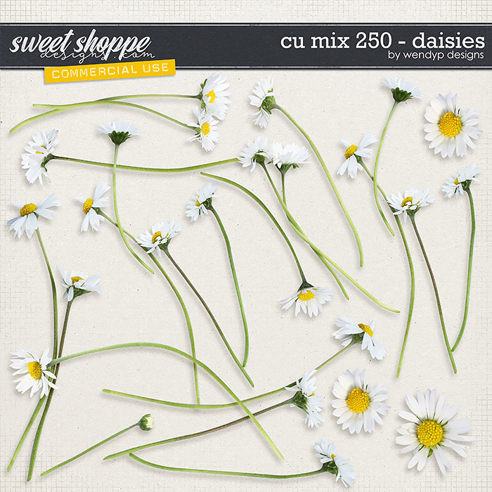 CU mix 250 - daisies by WendyP Designs CU mix 250 - daisies by WendyP Designs