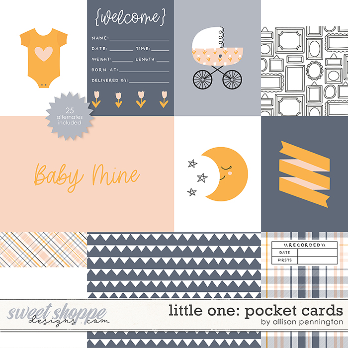 Little One: Pocket Cards by Allison Pennington