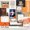 3 Point Shot Cards by Traci Reed