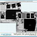 Cindy's Layered Templates - Half Pack 154: Photo Focus 77 by Cindy Schneider