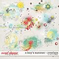 A Boy's Summer - Overlays by Red Ivy Design