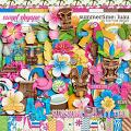 Summertime: Luau by River Rose Designs