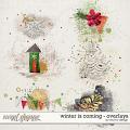 Winter is Coming - Overlays by Red Ivy Design