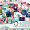 Today Is Your Day-Bundle by Meghan Mullens