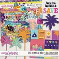 50 States: Florida Bundle by Kelly Bangs Creative