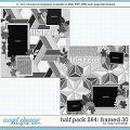 Cindy's Layered Templates - Half Pack 264: Framed 30 by Cindy Schneider