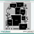 Cindy's Layered Templates - Photo Palooza 3 by Cindy Schneider