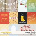 Spring Florals - Cards by WendyP Designs