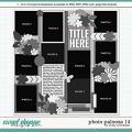 Cindy's Layered Templates - Photo Palooza 14 by Cindy Schneider