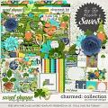 Charmed: Collection + FWP by River Rose Designs