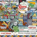 Stormy Weather Bundle by Clever Monkey Graphics 
