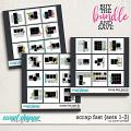 SCRAP FAST {Bundle 1} by Janet Phillips