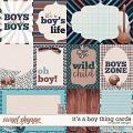 Its a Boy Thing Cards by JoCee Designs