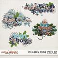 Its a Boy Thing Word Art by JoCee Designs