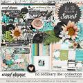 No Ordinary Life: Collection + FWP by River Rose Designs