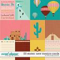 50 States: New Mexico by Kelly Bangs Creative