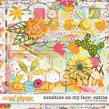 Sunshine on my Face: Extras by River Rose Designs
